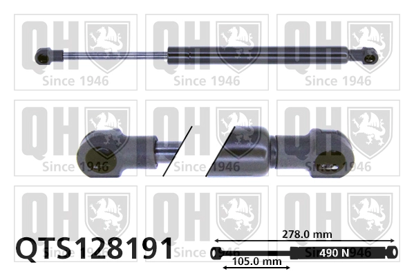 QTS128191