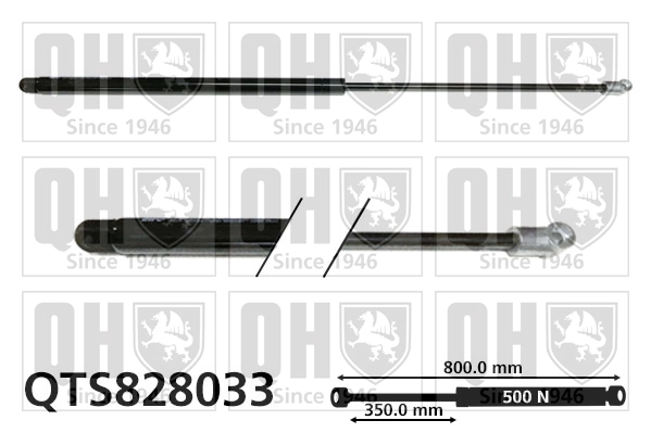 QTS828033