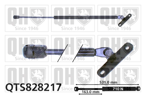QTS828217