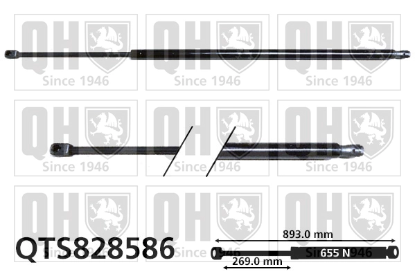 QTS828586