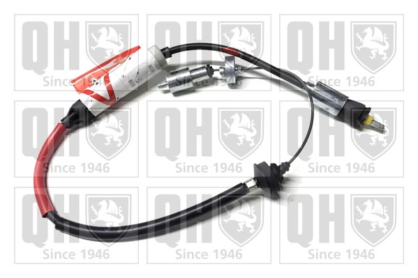 QCC1951