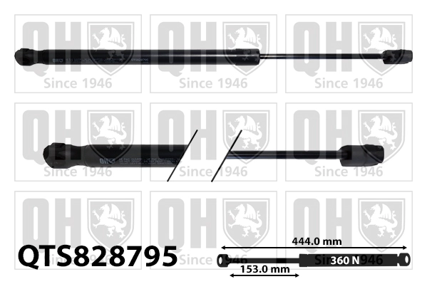 QTS828795