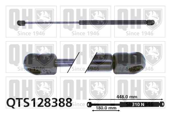 QTS128388