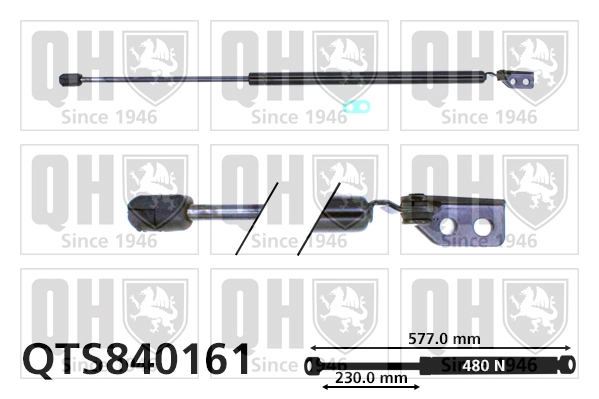QTS840161