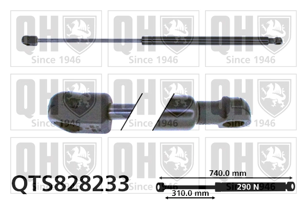 QTS828233