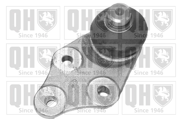 QSJ1019S
