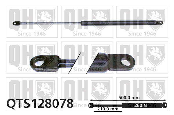 QTS128078