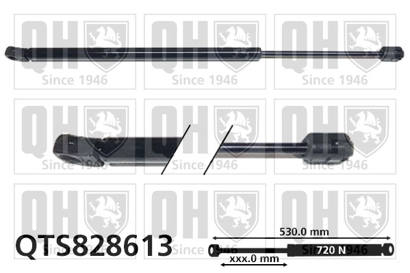 QTS828613