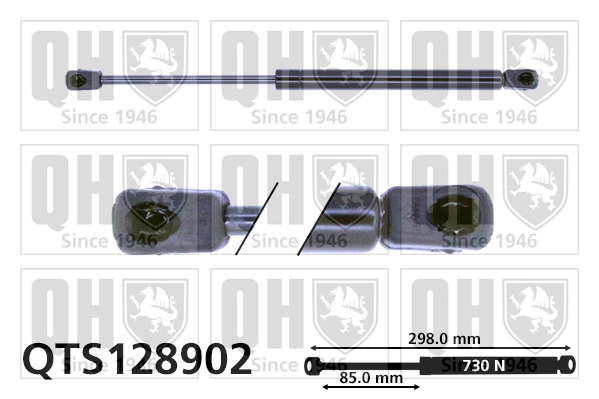 QTS128902