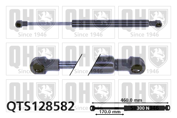 QTS128582