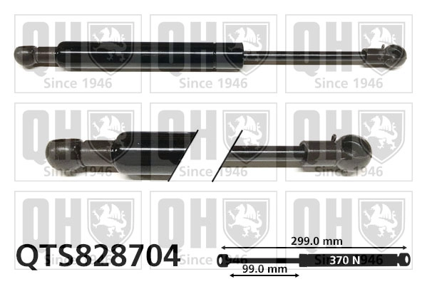 QTS828704