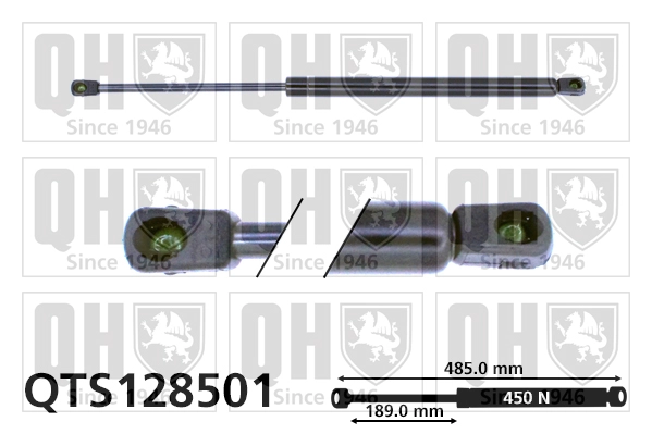 QTS128501