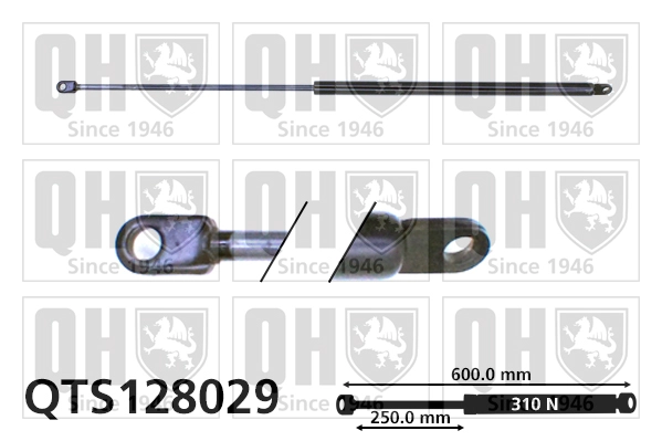 QTS128029