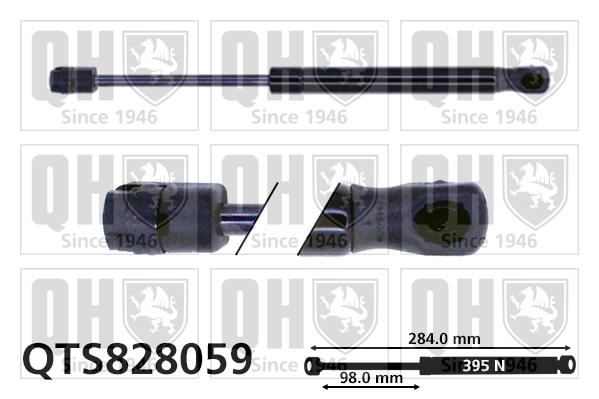 QTS828059