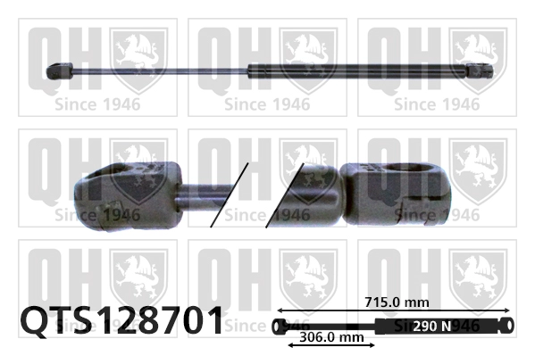 QTS128701