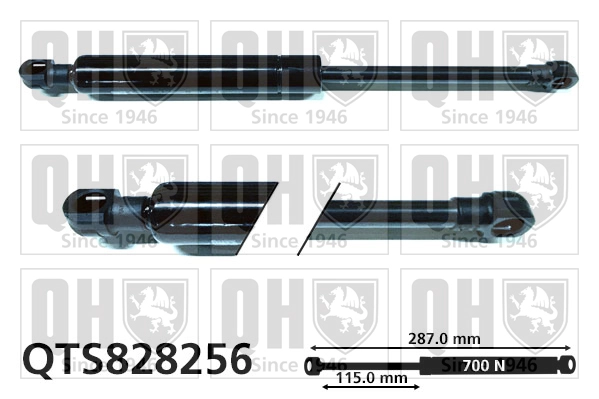 QTS828256