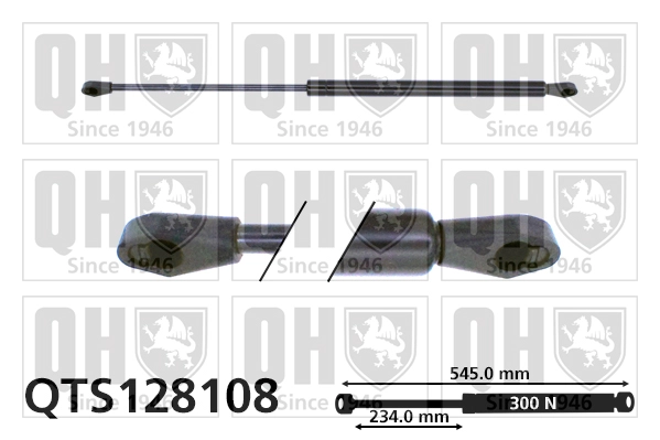 QTS128108