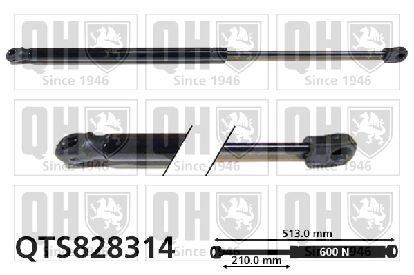 QTS828314