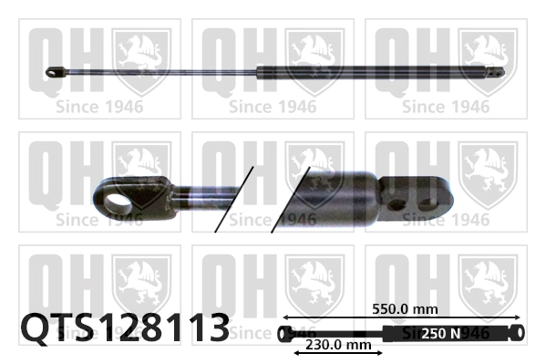 QTS128113