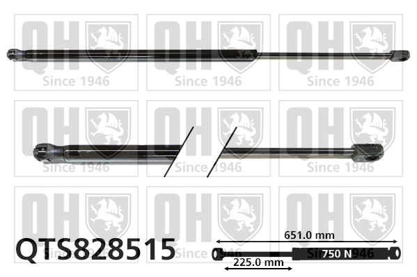 QTS828515