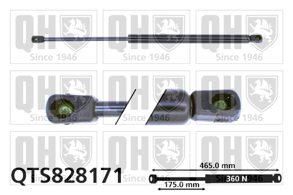 QTS828171