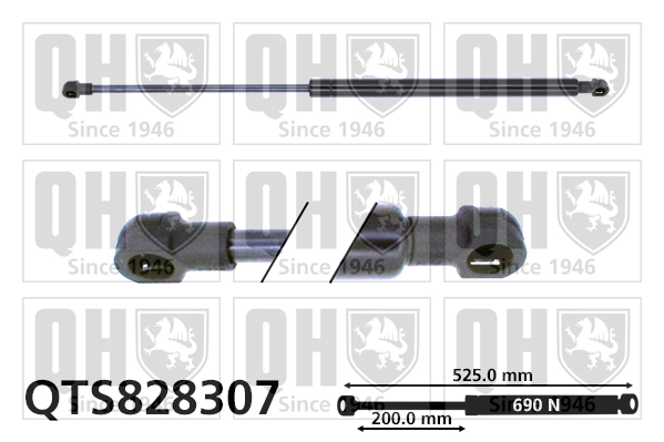 QTS828307
