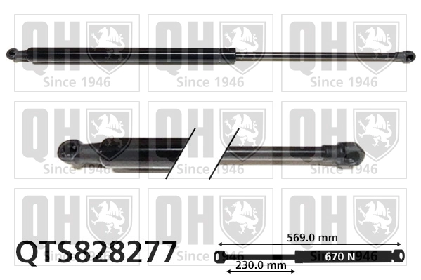 QTS828277