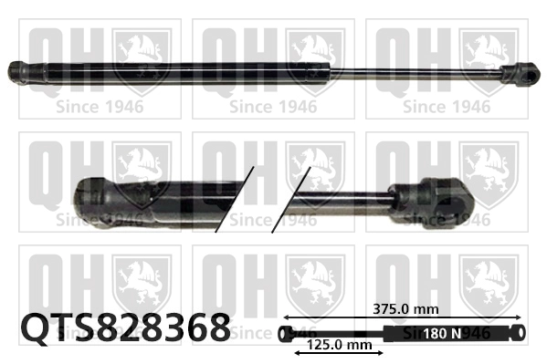 QTS828368