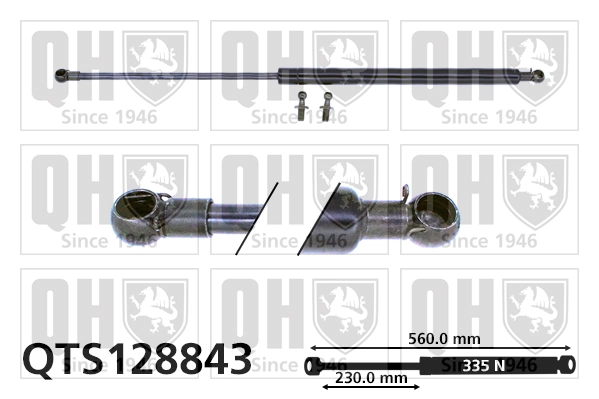 QTS128843