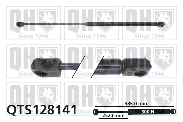 QTS128141