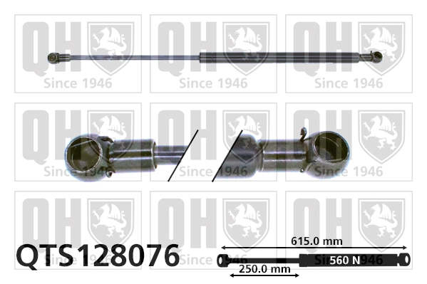 QTS128076