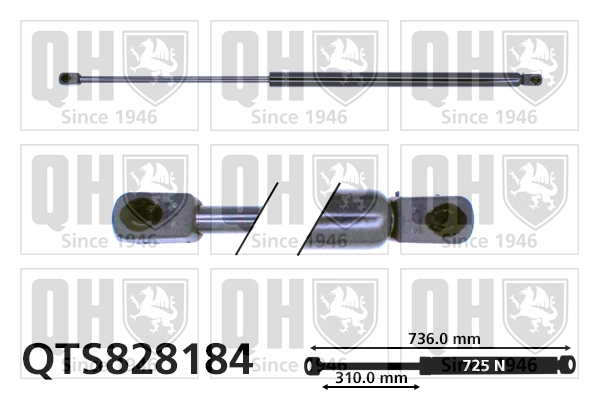 QTS828184