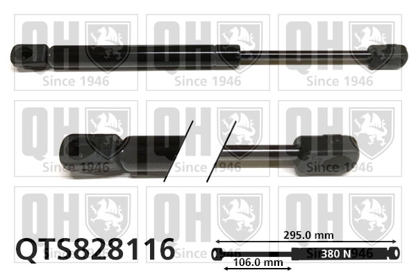 QTS828116