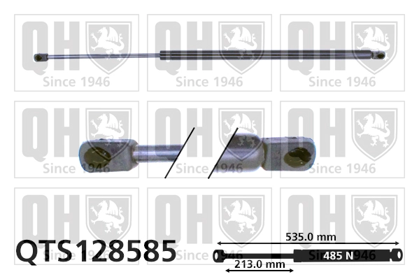 QTS128585