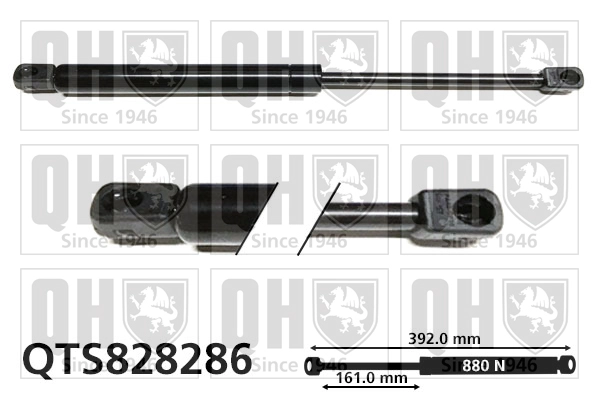 QTS828286