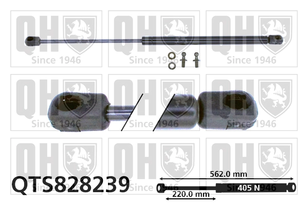 QTS828239