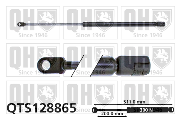 QTS128865