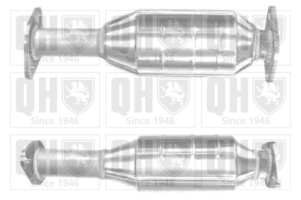 QCAT90580