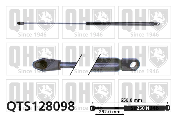 QTS128098