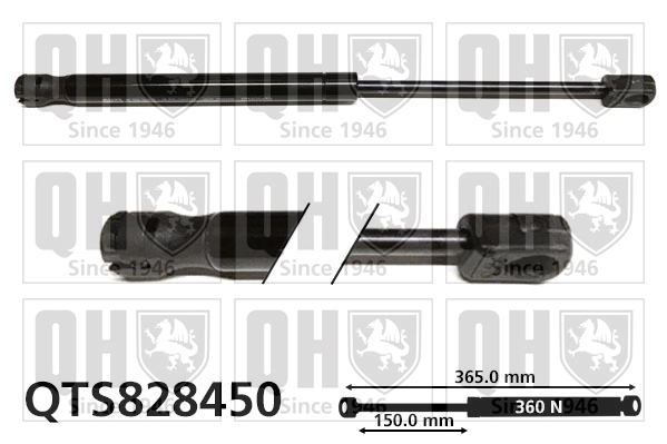 QTS828450