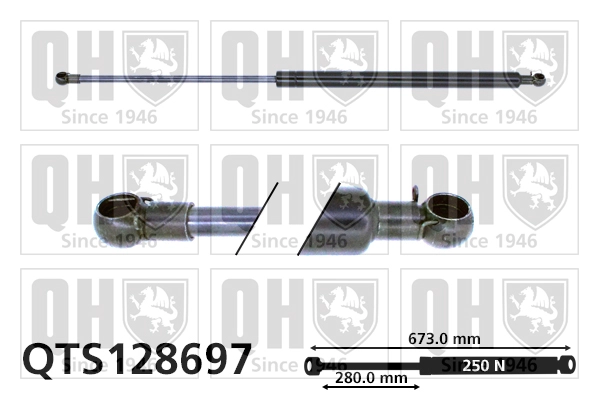 QTS128697