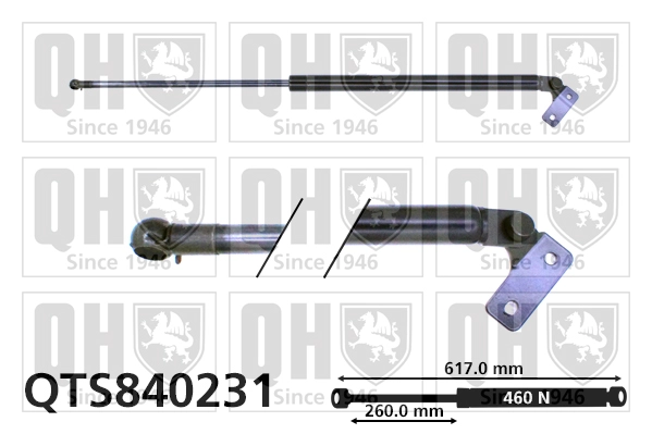 QTS840231