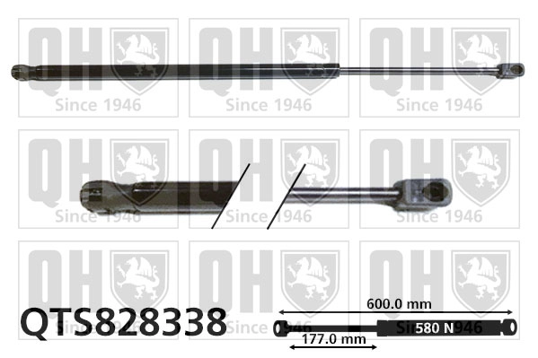 QTS828338