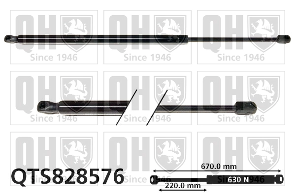 QTS828576