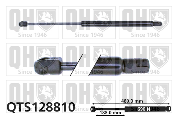 QTS128810