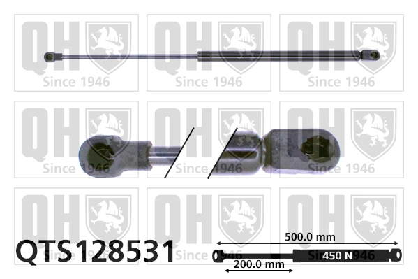 QTS128531