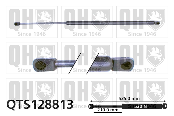QTS128813