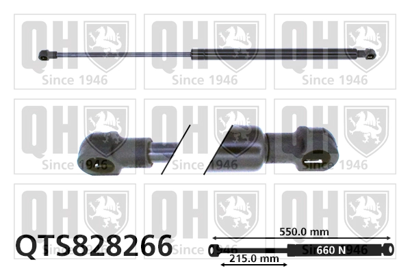 QTS828266
