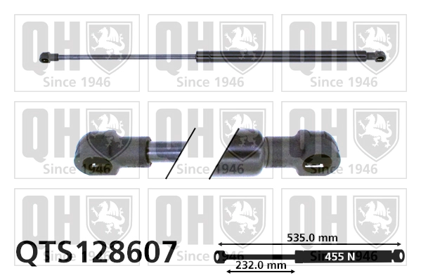 QTS128607