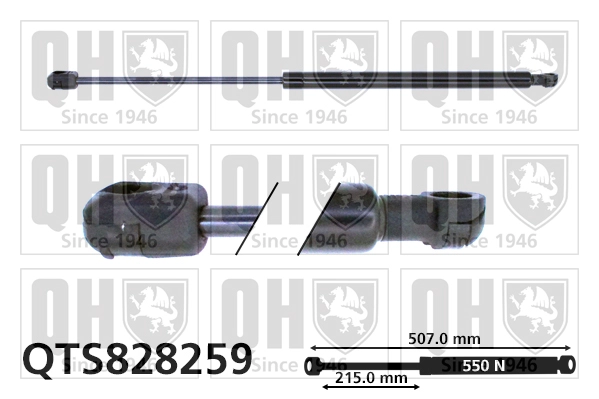 QTS828259